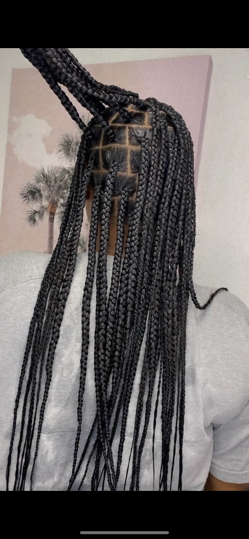 Knotless/Box Braids