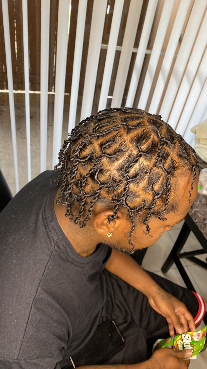 2 Strand Twists